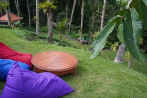 Bali Made Escape - Private Villa in Gianyar Bali
