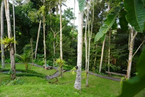 Bali Made Escape - Private Villa in Gianyar Bali